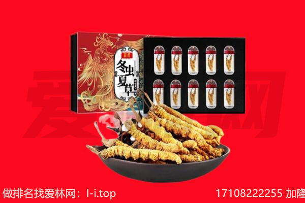 云浮市回收虫草.jpg